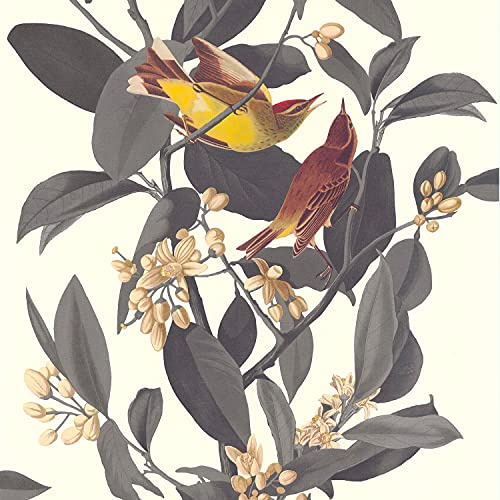 Lutèce Bird Branch Wallpaper | Dark Grey | Vinyl on Non-Woven | 51175509 | Bedroom, Living Room, Hallway, Living Room, Multicoloured