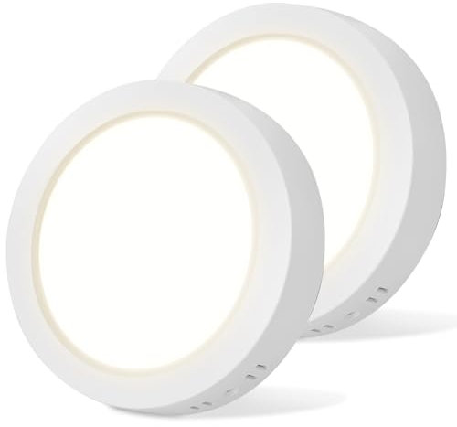 Aigostar Plafón LED Techo 12W 1350LM Lámpara de Techo LED Luz natural 4000K para Cocina Sala de Estar Dormitorio Pasillo 174 * 35Hmm, 2pcs