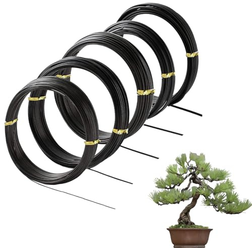 Tokaneit Alambre para Bonsai Aluminio Negro 5PCS, Alambre Aluminio Anodizado, 5 Tamaños: 1/1.5/2/2.5/3mm, Moldeable y Fácil de Cortar, Apto para Ramas Finas, Medianas y Gruesas