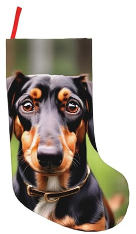 KoNsev 45,7 cm Weihnachtsstrümpfe, personalisiert, Weihnachten für Familie, Urlaub, Weihnachten, Party, Dekoration, Dackel-Weiner Haustier-Hunde-Aufdruck
