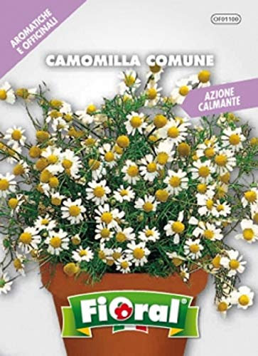 Semillas de plantas aromáticas y oficinales, en bolsita, para uso amateur