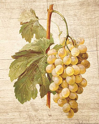 CANVAS-FRAMED-with-AMERICAN-BOX Grapevine 1 Nobleworks - Food vertical Art print Kitchen decor botanical home decor grapes leaves v Floating frame 27_X_22_in