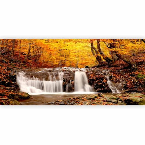 murando Fotomurales autoadhesivo Cascada 539x250 cm Papel Pintado Decoración de Pared Murales Pegatina decorativos adhesivos 3d moderna de Diseno - Naturaleza Otono Bosque c-B-0472-a-a