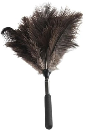 PZJFH Staubwedel, Teleskopierbarer Staubwischer Mit Straußenfeder Metallgriff, Wiederverwendbarer Spinnenwebenentferner Für Deckenventilatoren Und Hohe Ecken, 40–116 cm