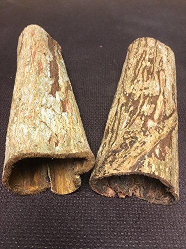2 große Höhlen der Wunderwaffe Seemandelbaum für Kenner (Ø~3-4cm, Länge 15-20cm, zusammen über 100gr) Deko Aquarium, Wasseraufbereiter, Catappa Bark Tubes