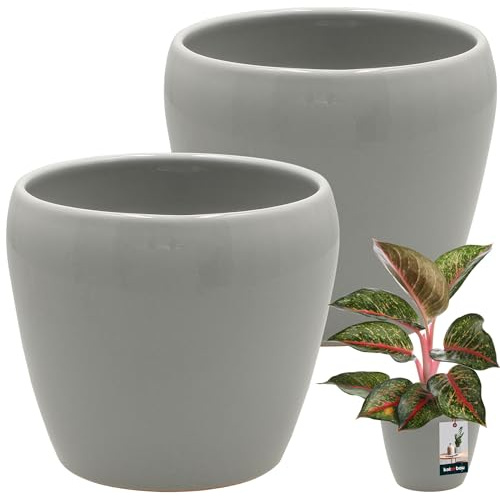 KOTARBAU® 2 St. Blumentopf Grau innen rund ⌀ 12 cm H: 12 cm glasierte Keramik Blumentöpfe innen Blumenübertopf Pflanzentopf innen Orchideenübertöpfe Blumentopf groß Flower Pot