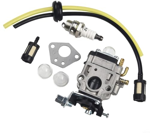 RichVibe Kit carburatore per Florabest per FBS 43 A1, per FBK 4 B2 4in1, Parkside PBK 4 A1, per modelli PBS 2 A1, parti di ricambio per tagliabordi