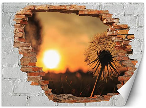 Feeby Fototapete 3D Loch in der Wand Natur Abstrakt 100x70 cm Orange Vlies Wandtapete Tapeten Wohnzimmer Schlafzimmer Büro Flur Moderne Design Wandbilder Wand Dekoration Löwenzahn Sonnenuntergang