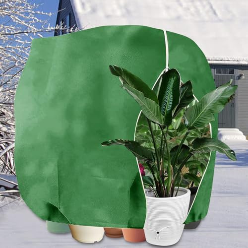 YangAera Winterschutz für Pflanzen 280x300cm Frostschutz Schutzhaube mit Reißverschluss Zugband Kübelpflanzen Winter Pflanzenschutzsack Pflanzenabdeckung Atmungsaktiv Wiederverwendbar - Grün, 1 Stück