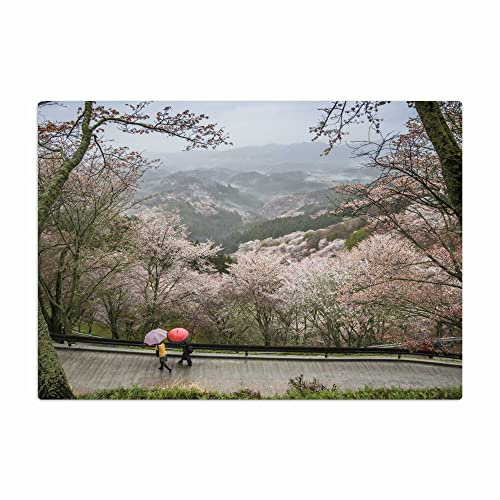 Vero Home 14316 Glas-Schneidebrett | Motiv Natur Kirschblüte in Japan | rutschfest, kratzfest und lebensmittelecht | Maße: 39 x 29 cm
