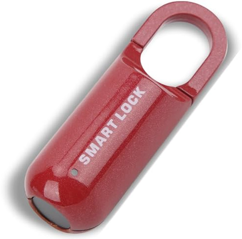 Fingerabdruck-Schloss, Wiederaufladbares Schlüsselloses USB-Vorhängeschloss, Intelligente Elektronische Schrankschlösser mit 10 Stück Fingerabdruck-Kapazität, Diebstahlsicherung (Rot)