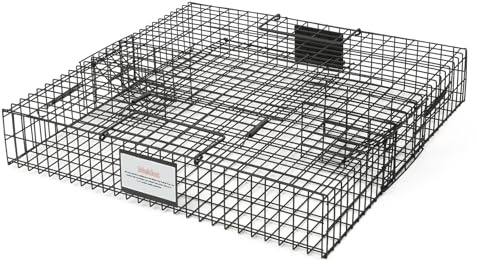 Meldoz Squirrelinator Metal Wire & Heavy Duty, 2 Door Humane Live Squirrel Catch & Release Cage Trap, Holds up to 25 Squirrels, 1 Trap
