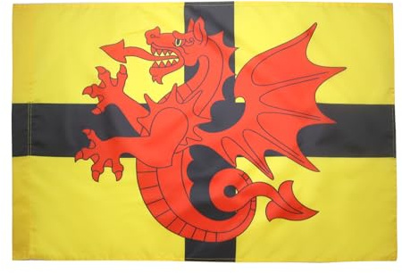 AZ FLAG Drapeau Bretagne Pays du Trégor 90x60 cm Polyester 100D Fourreau | Usage intérieur et extérieur Drapeau décoratif breton coutures doubles et bords renforcés avec fourreau pour mât
