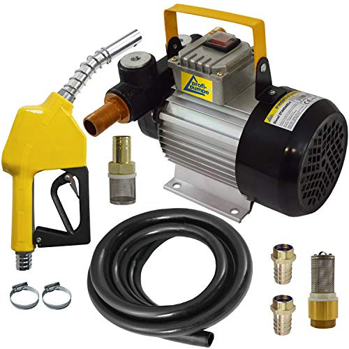 Dieselpumpe 230V Selbstansaugende Heizölpumpe Biodiesel Ölpumpe Kraftstoffpumpe Pumpe Standard Elektrische Dieselpumpe Leistungsstarker Motor Set Standard-4 mit Paket 2