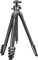NEEWER LITETRIP LT38 61 Travel Tripod Carbon Fiber for Camera, 360° Pan Tilt Low Profile Ball Head, Flexible Center Axis, Arca QR Plate Compatible with Peak Design Tripod Clip V3, Max Load 22lb