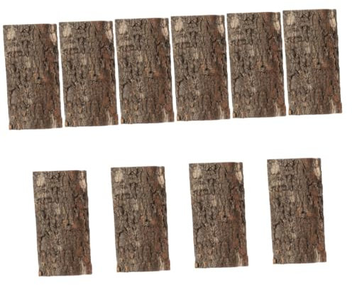 Yardwe 10 Stücke Elegante Korkrinde Für Reptilien Terrarium Tank Hintergrund Rückwand