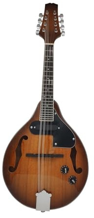 Professional Adult Mandolin Instrument Professional Beginner Mandolin Eight-string Electric Mandolin String Instrument With Beautiful Appearance(E)
