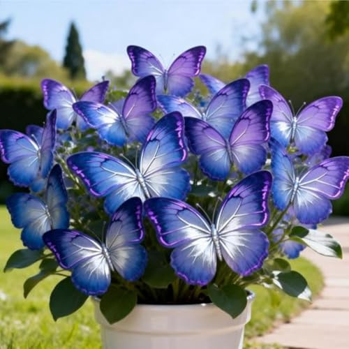 Resistente/Blu notte Rizoma Hosta/Decorazione Per Casa e Giardino/Per Ogni Spazio.-6Rizoma-B