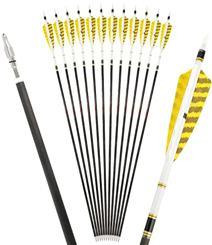 Poearcus Tiro con Arco Flechas de Carbono Puro 250 300 350 400 500 600 Spine Turkey Pluma de puntería Flecha de Tiro para Arco Compuesto Arco Recurvo (6, 600 Spine)