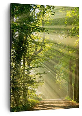 ARTTOR Bilder auf Leinwand 50x70 cm Wandbild Landschaften Wald - 3661 | Baum Natur Vertikal Klein Wanddekoration Wohnzimmer Schlafzimmer Wandkunst Wanddeko Wand Kunstdruck Küche Wall Decor ARTTOR