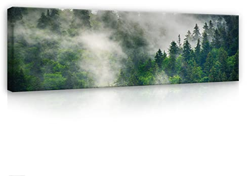WallArena Leinwand Bilder 145x45 cm | Wald Nebel Natur Landschaft, Leinwandbilder, Bild auf leinwand, Format: 145x45 cm (BxH) - einteilig auf Canvas