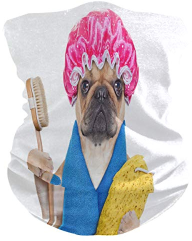 Pannband fransk bulldogg har spa balaklava dammduk bandana vindtät ansiktshalsduk för resor löpning fiske