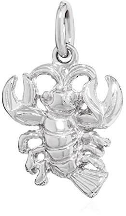 NKlaus hänge stjärntecken hummer 925 silver glänsande hänge zodiac horoshop 14181