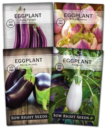 Sow Right Seeds - Eggplant Seed Collection for Planting - Black Beauty, Casper, Rosa Bianca and Long Purple Varieties - Non-GMO Heirloom Packet - Plant and Grow an Outdoor Home Vegetable Garden