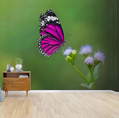 Fototapete Schmetterling 3D Effekt Vliestapete Grün Foto Tapete Wohnzimmer Schlafzimmer Flur Wandtapete Motivtapeten Bildtapete Wand Deko 200x140 cm 1283b