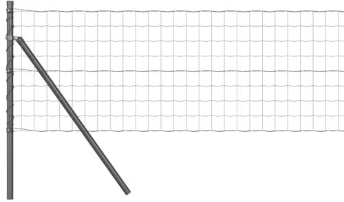 vidaXL Stängsel med stolpe Grå 0,8 x 10 m Stål, Trädgårds- och terrassstaket, moderna utomhuspaneler, hållbart skydd, stiligt avskildhet, praktisk set