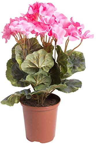 Flora-Seta künstliche Geranie (Geranienbusch) mit 7 Stielen und 3 kleinen und 4 größeren Blütenköpfen im Kunststofftopf (pink)