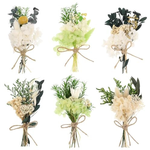 Vyuwast 6 Bündel Mini Trockenblumenstrauß Klein Trockenblumen zum Basteln Getrocknete Blumen Natürliche Getrocknete Blumenstrauss Small Dried Flowers für Boho Deko Bilderrahmen DIY Handwerk(Grün)