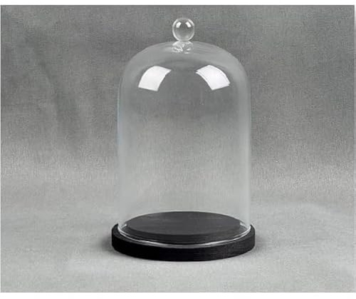 EMH Cloche de présentation dôme en verre avec bouton et socle en bois noir 15,5 x 10 cm
