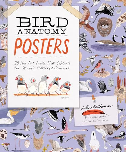 Bird Anatomy Posters: 28 Pull-Out Prints That Celebrate the World's Feathered Creatures