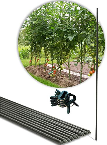 Novatool 10 x Pflanzstab 75 cm und 20x Pflanzklammer klein Set I Rankhilfe Gurken Tomatenstab Pflanzenbefestigung Stab I Clips Pflanzenklammern Pflanzenhalter Gewächshaus Zimmerpflanze rund