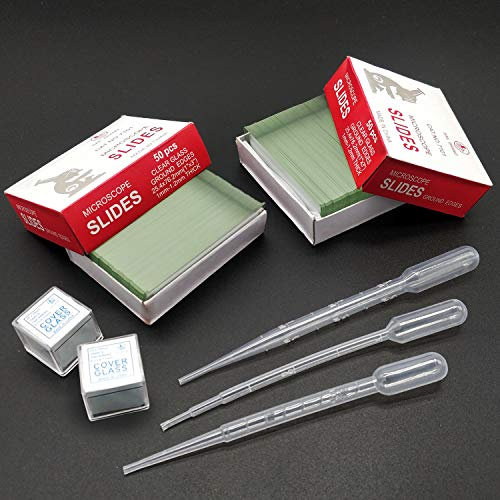 100 Stück hochwertige, abgeschrägte, vorgereinigte Mikroskop-Objektträger mit geschliffenen Kanten, 200 Stück vorgereinigte Mikroskop-Deckgläser, inkl. 3 Kunststoffpipetten in verschiedenen Füllmengen
