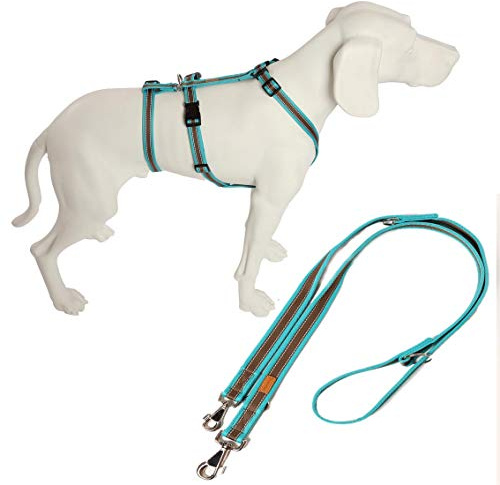 Feltmann No Exit ausbruchsicheres Hundegeschirr für Angsthund, Panikgeschirr, Soft Grip, türkis/braun, Bauchumfang 50-65 cm, 20 mm Bandbreite, inkl. passender Führleine 210 cm