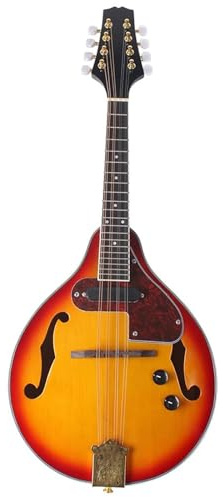Mandolin Tibetan Guitar Folk Instrument Eight-stringed Instrument Electric Mandolin Mandolin