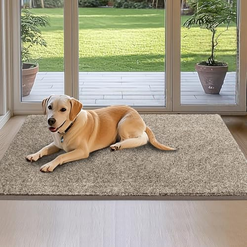 DOMUSTEX Schmutzfangmatte Innen 80 x 120 cm, Waschbar Teppich Läufer, Eingangsteppich, rutschfeste Fussmatte für Küche, Schlafzimmer, Flur