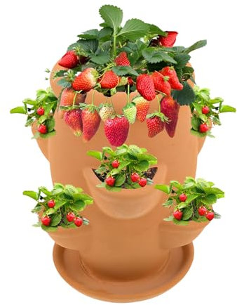 Wezalget Fioriera Per Fragole, Vaso Verticale In Terracotta Per Fragole Con 6 Tasche, Vaso In Terracotta Per Piante Grasse, Contenitore Decorativo Per Piante Da Giardino E Patio