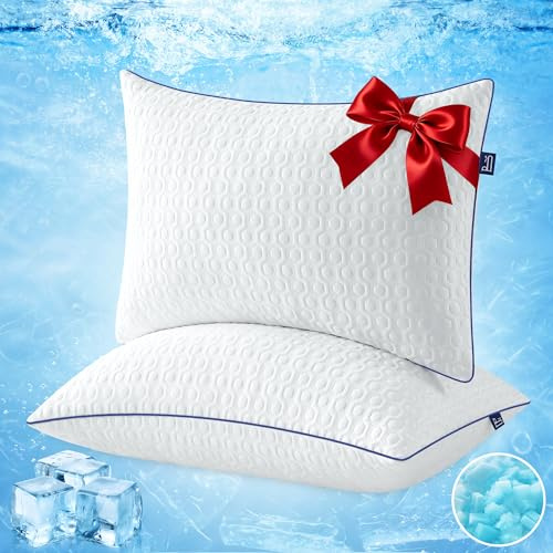 BedStory Oreillers Rafraîchissant - Lot de 2 - Mémoire Forme - 40x60CM