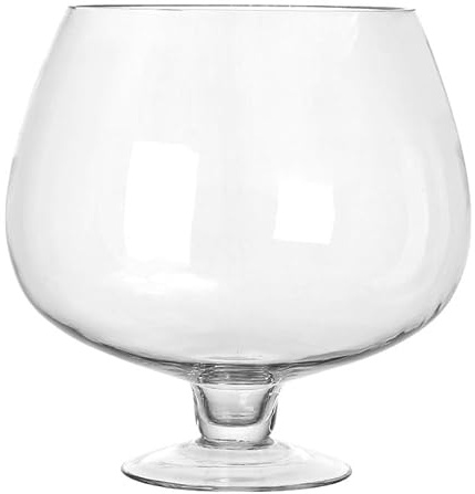 TOYANDONA Glass Desktop Aquarium Tank 4000ml Goldfish Bowl with Micro Landscape and Hydroponic Vase for Betta Fish and Table Decor