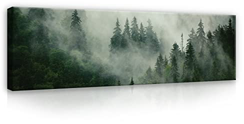 WallArena - Leinwand Bilder - Wald Nebel Natur - 145x45 cm Leinwandbilder - Bild auf leinwand - Wandbild XXL groß Wandbilder für Wohnzimmer Schlafzimmer Wohnzimmerbilder Modern