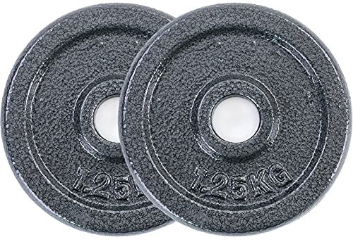 RAMROXX 2,5 kg Hantelscheiben Set 2x1,25 kg Gusseisen Hantel Gewicht versiegelt 28mm