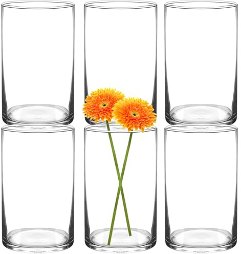 HYCKee 6er Set klare Vasen, 15 x 9 cm zylindrische Glasvase, minimalistische dekorative Vase für Kerzen, Blumen, Muscheln, Perlen, Windlichter Tischdekoration