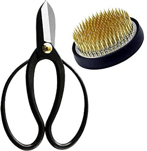 Wazakura 2PCS Japanese Ikebana Essential Tool Set MADE IN JAPAN, Floral Arrangement Kit [ Koryu Scissors + 61mm Round Brass Kenzan ]