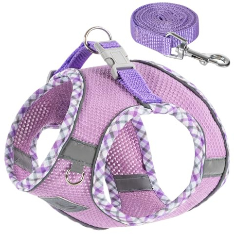 Dog Harness and Leash Set,Step-in Air Dog Vest, Reflective, No Pull Collarsfor Small, Medium Dogs, Cats - Secure with Hook & Loop Fastener, Buckle, Double D-Ring