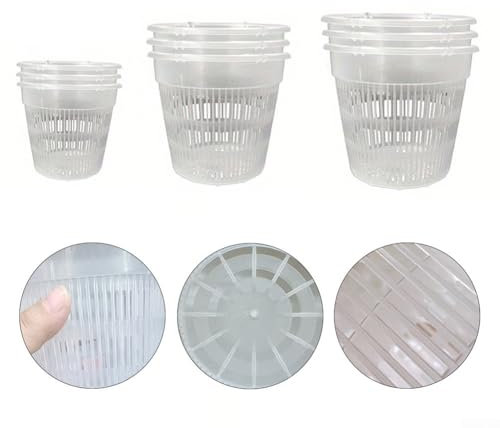 Soluzione trasparente per la cura delle orchidee, include 6 pezzi con comodi piattini abbinati (4 cm)