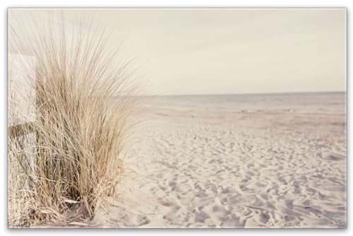 Herdabdeckplatte 80x52 cm einteilig aus 4mm ESG Glas | Meer Düne Pampasgras Sand Strand Nordsee | Herd Abdeckung Abdeckplatte Induktion Schneidebrett Glasplatte für Ceranfeld
