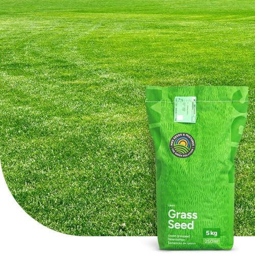 Repair & Restore : Semences de gazon de regarnissage - 1 kg pour 50 m² - Germination rapide - Gazon dense et vert -Idéal pour pelouses et terrains de sport